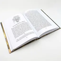Берен і Лутієн - Джон Толкін | Астролябія, книга українською, нова, тверда - мініатюра 3
