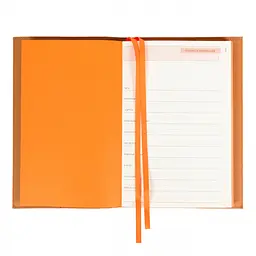 Щоденник діловий Leo Planner Amber А5 м'який теракотовий 320 сторінок (252771) - мініатюра 4