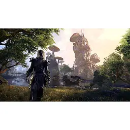Ключ активації Microsoft The Elder Scrolls Online для Xbox One/Series - мініатюра 4