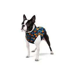 Курточка для собак Waudog Clothes Апельсини M50 - мініатюра 3