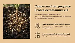Кінський гній гранульований Горбоконик 2 л - мініатюра 10