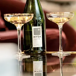 Вино ігристе MVSA Cava DO Brut біле брют 0.75 л - мініатюра 3