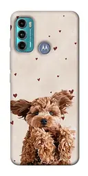 TPU чохол Demsky Сute doggy для Motorola Moto G60