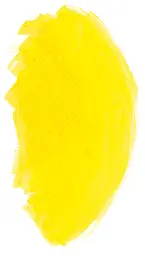 Олійна фарба Rive gauche 40 мл, Кадмій жовтий світлий відтінок (Cadmium Yellow Light Hue) - мініатюра 4