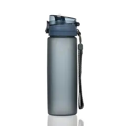 Пляшка для води KXN-1157 Casno KXN-1157_Grey 650 мл, сірий