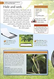 Bug Hunter. Nature Activities - - миниатюра 4