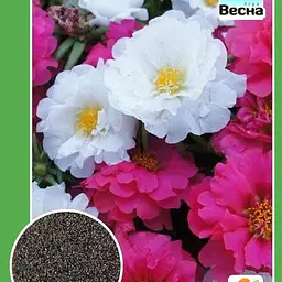 Портулак "Махровий" Весна 0.3г (11868) - мініатюра 2