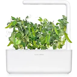 Змінний картридж Click & Grow Smart Garden Карликовий горошок, 3 капсули (8998) - мініатюра 5