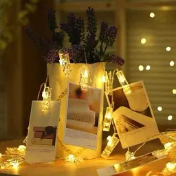 Гірлянда на прищіпках Xmas 20 Led Copper Bottle Warm White