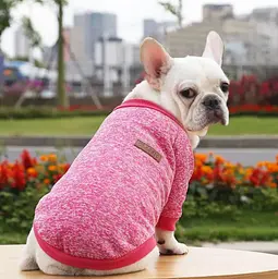 Кофта для собак та котів EcoToys Bright Pink XL ряба яскраво-рожева A: 39 см B: 48 см C: 29 см 7102 - мініатюра 6