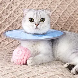 Захисний комір для котів Derby Breathable Cat Elizabeth Collar, Blue, XL < 40 см - мініатюра 3