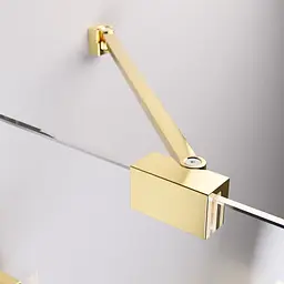 Шторка для ванни Radaway Essenza Pro PNJ 100 см Gold 10101100-09-01 - мініатюра 5