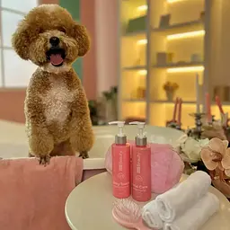 Шампунь Home Food Beauty Досконалий догляд для собак та котів 200 мл  - мініатюра 6