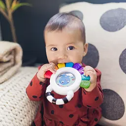 Іграшка-брязкальце Baby Einstein Outstanding Opus (12487) - мініатюра 8