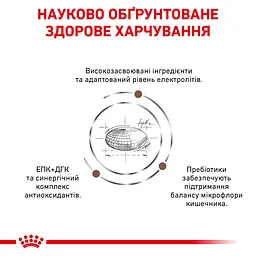 Сухий дієтичний корм для кішок Royal Canin Gastrointestinal Moderate Calorie при порушенні травлення зі зниженим вмістом калорій, 4 кг (4008040) - мініатюра 2