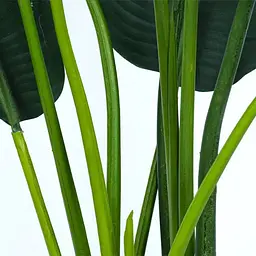 Штучна рослина Engard Banana Tree 155 см (TW-09) - мініатюра 5