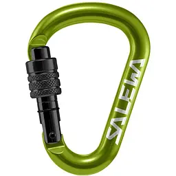 Карабін Salewa HMS Screw G2 Small Зелений/Чорний (1054-013.003.1317)