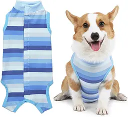 Костюм для відновлення собак WanTalk Striped Recovery Suit, Blue, XL - мініатюра 1