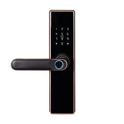 Замок біометричний автономний Trinix TRL-5402BTF Bronze з Bluetooth, зчитувачем відбитків пальців і карт Mifare (65-00072) - мініатюра 1
