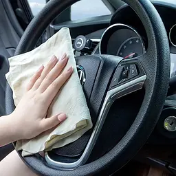 Професійна Ганчірка серветка Овчина 40х30 мм для скла та кузова прямокутна форма (Colorful Tree) - мініатюра 7