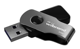 Флеш накопичувач USB 128Gb Wibrand Lizard, Black, USB 3.2 Gen 1 (WI3.2/LI128P9B)