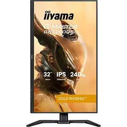Монітор 31.5" Iiyama GB3290QSU-B1 QHD IPS 240Hz (GB3290QSU-B1) - мініатюра 5