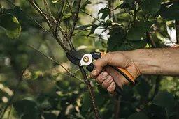 Секатор контактний Fiskars Solid L P361 (1057165) - мініатюра 4