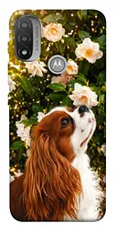 TPU чохол Demsky Flower spaniel для Motorola Moto E20