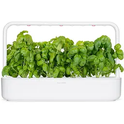 Змінний картридж Click & Grow Smart Garden Базилік, 3 капсули (7199) - мініатюра 5