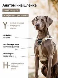Шлея для собак Duomm No-Pull з повідцем, регульована та світловідбивна хакі, M - мініатюра 3