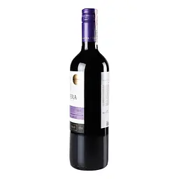 Вино Frontera Merlot, червоне, сухе, 12%, 0,75 л - мініатюра 2