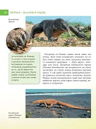 Енциклопедія для допитливих А5. Рептилії — жахливі й чудові - Андрій Гапченко - мініатюра 4