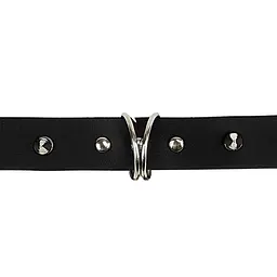 Нашийник з шипами та повідцем Art of Sex - Collar Spikes and Leash Art of Sex SO5154 95176 - мініатюра 5