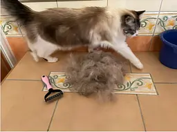 Колтуноріз для видалення вовни вовни Single Side Pet Hair Knots Dematting Comb для собак і кішок L blue - мініатюра 5