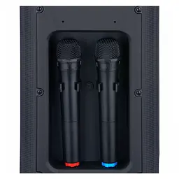 Портативна колонка BIG JB X828 два радіо мікрофони, караоке - мініатюра 5