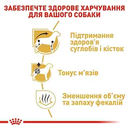Сухий корм для дорослих собак породи Такса Royal Canin Dachshund Adult, 1,5 кг (3059015) - мініатюра 6