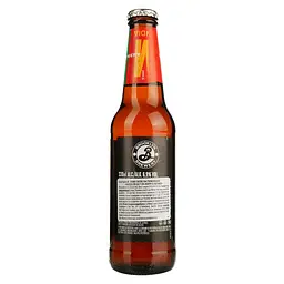 Пиво Brooklyn Brewery East IPA світле 6.9% 0.33 мл - мініатюра 2