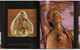 Anatomical Waxes. 45th Edition - мініатюра 18