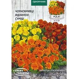 Насіння Maxi Насіння України чорнобривці 5 г (692100)