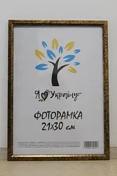 Фоторамка 21Х30, (А4), зістарене золото із золотою вставкою, 1210-3055, СКЛО + КАРТОН  
