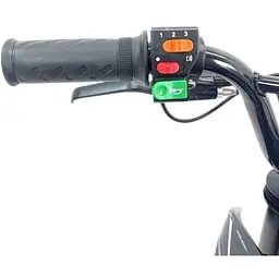 Дитячий електро кросовий мотоцикл Tesla Kids 01 (200w 36v 8ah) - мініатюра 12