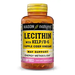 Натуральна добавка Mason Natural Lecithin 200 mg with Kelp/Vitamin B6 Plus Cider Vinegar, 100 капсул