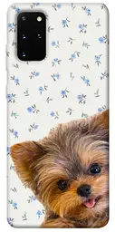 TPU чохол Demsky Cute Yorkie для Samsung Galaxy S20+