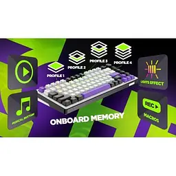 Клавіатура Hator Hellyberry HK75 Mechanical Linear RGB Wireless/Bluetooth/USB UA White/Violet (HK75_wireless) - мініатюра 10