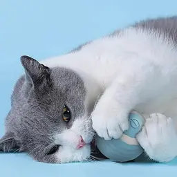 Інтерактивний бігаючий розумний м'ячик Idea для котів та собак USB  діаметр: 4,3 см вбудований акумулятор - мініатюра 9