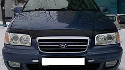 Дефлектор капоту мухобійка для Hyundai Trajet 1999-2008