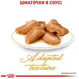 Набір вологого корму для дорослих кішок породи мейн-кун Royal Canin Maine Coon Adult шматочки в соусі 1.02 кг (12 шт. х 85 г) - мініатюра 3