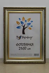 Фоторамка 21Х30, (А4), срібна із золотим обрамленням, 377-036S, ОРГСКЛО+ДВП                                                                                            duplication
