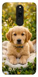 TPU чехол Demsky Small labradore для Xiaomi Redmi 8