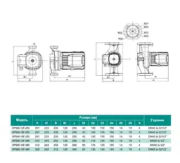 Циркуляційний насос SHIMGE XPS40-12F-250 - мініатюра 3